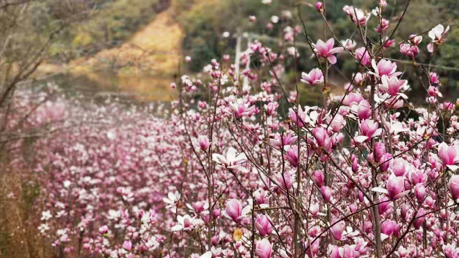 不負春光 · “野”你同行